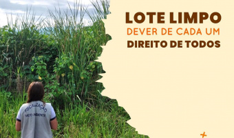lotes.jpg